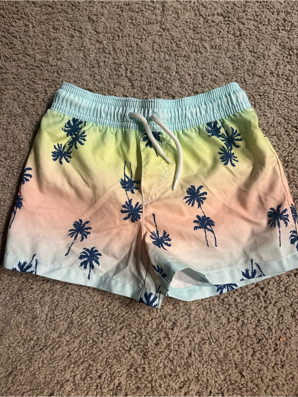 OshKosh B'gosh Pastel Gradient Palm Swim Shorts - Navy Palm